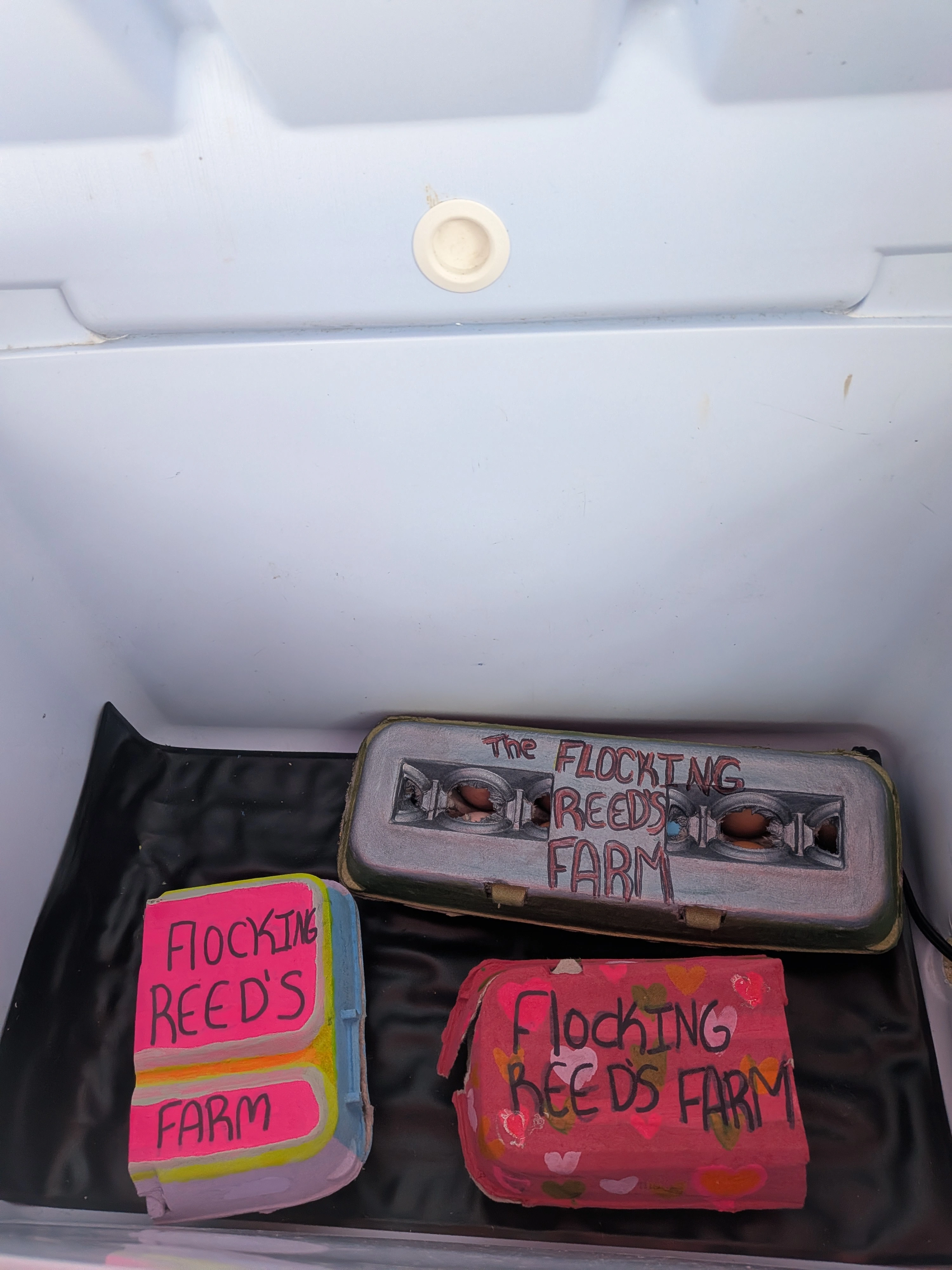 Eggs stocked in the cooler