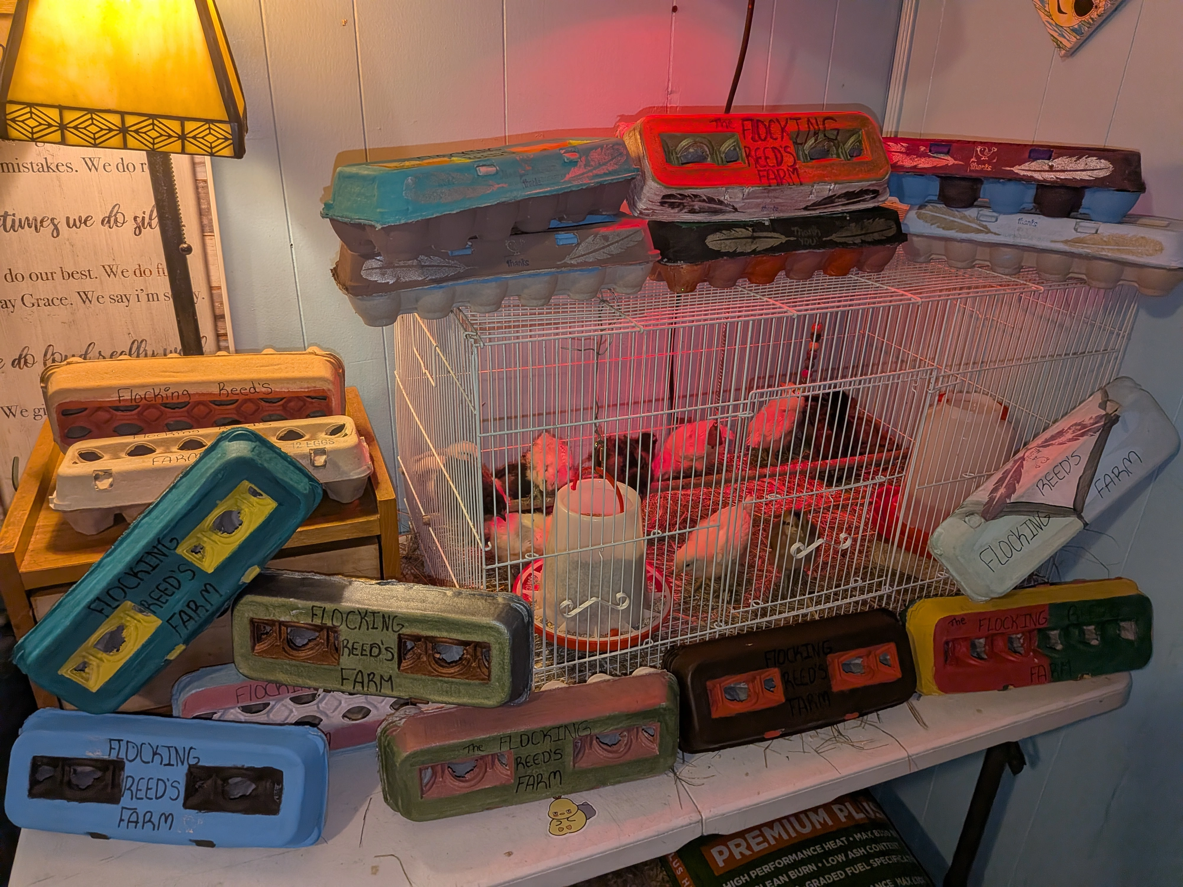 Hand painted egg cartons ready for sale